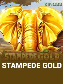 Stampede Gold