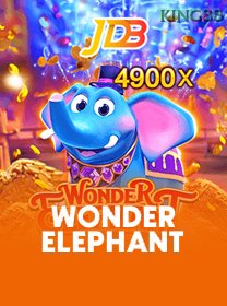 Wonder Elephant